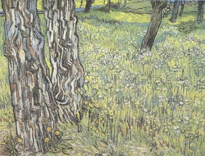 Vincent Van Gogh Pine Trees and Dandelions in the Garden of Saint-Paul Hospital (nn04)